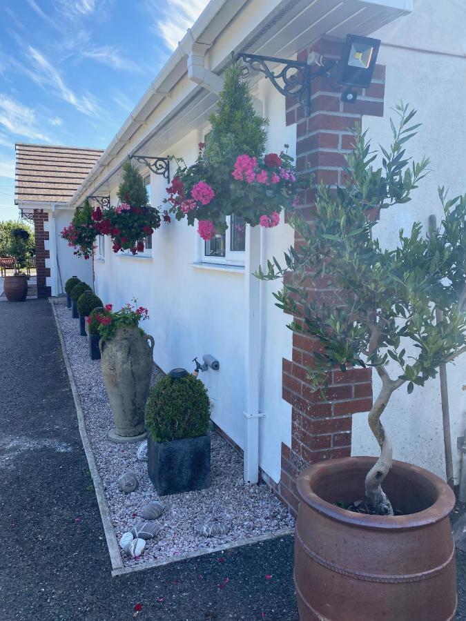 Toppesfield House B&B Bude Kültér fotó