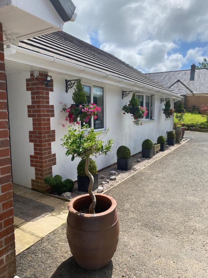 Toppesfield House B&B Bude Kültér fotó