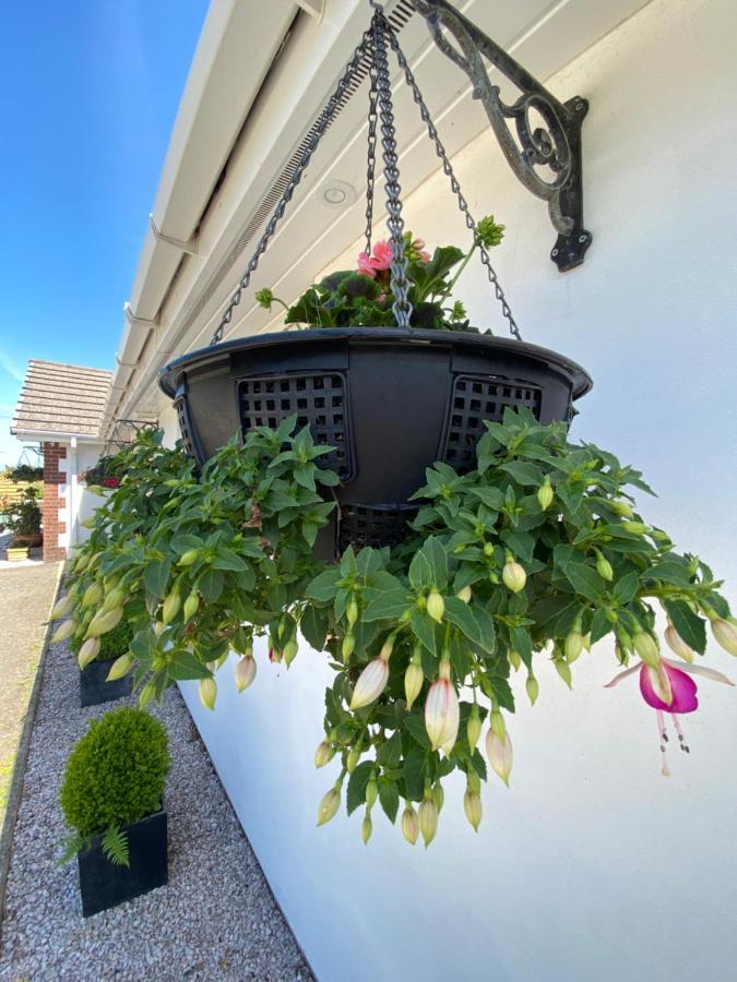 Toppesfield House B&B Bude Kültér fotó
