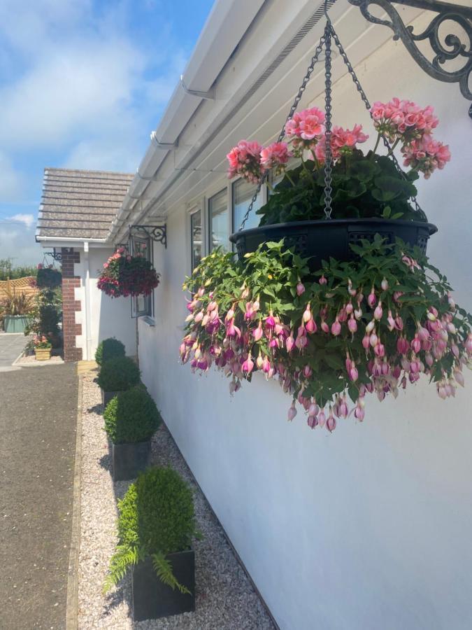 Toppesfield House B&B Bude Kültér fotó