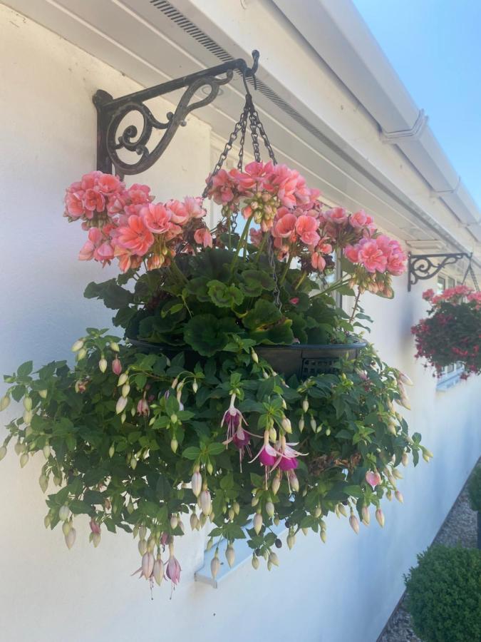 Toppesfield House B&B Bude Kültér fotó