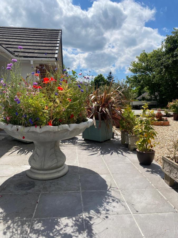 Toppesfield House B&B Bude Kültér fotó